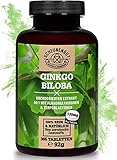 Ginkgo Biloba - 365 Tabletten je 6000mg - WICHTIG: 50:1 Extrakt (= 6000mg Ginkgo Biloba je Tab) I Mit 24% Flavonglykoside + 6% Ginkgolid-Terpenlactone & frei von Ginkgolsäure I aus DE I SCHEUNENGUT®