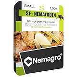 Nemagro 2310 SF-Nematoden S - gegen Trauermücken (steinernema feltiae), 0.5 mio, 5 Pflanzen