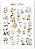 artpin® ABC Poster Kinderzimmer Alphabet Tierposter - Lernposter Schulanfang 1.Klasse DIN A3 Weihnachtsdeko - Bilder Safari Mädchen Junge Baby Tiere - Wald Dschungel P69