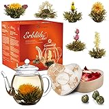 Creano Geschenkset Erblühtee Teeblumen Mix in Holzschachtel in Herzform - 6 Sorten Weißer Tee inkl. Glas Teekanne 500ml, Geschenk für Frauen, Mutter, Teeliebhaber