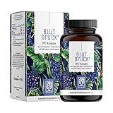 NATURTREU®️ Blutdruck OPC Traubenkernextrakt hochdosiert 900mg Extrakt mit Q10, Kalium & schwarzem Knoblauch - Französische Trauben vegan - 90 Traubenkernextrakt OPC Kapseln hochdosiert