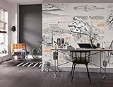 Komar Star Wars Blueprints | 368 x 254 cm | Tapete, Wand, Dekoration, Wandbelag, Wandbild, Wanddeko, Gezeichnet, Raumschiff | 8-493 Papier Fototapete, Paper, Mehrfarbig, 368 x 0.2 x 254 cm, 9