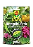 COMPO Blattgrün-Turbo, Dünger gegen Eisenmangel/Chlorose für alle Zier- und Nutzpflanzen, 1 Tütchen mit 20 g, Braun