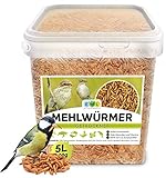 Mehlwürmer getrocknet 800g 5 ltr. Insektensnack für Vögel, Fische, Schildkröten, Nager und Reptilien EWL Naturprodukte