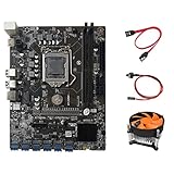 Wresetly BTC B250C Mining Motherboard mit LüFter+ SATA Kabel+Switch Kabel 12 PCIE zu USB3.0 Grafik Karten Steckplatz LGA1151 UnterstüTzt DDR4