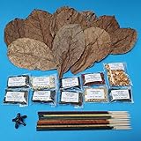 Schmitt Aquaristik Futter-Set für Garnelen und Krebse / 10 Shrimp Lollies mit Halter + 10x10g Sticks + 10 Seemandelbaumblätter