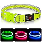 Leuchthalsband Hund, Colaseeme LED Hunde Leuchthalsband, Wasserdicht Hundehalsband Leuchtend, HundeleuchthalsbäNder Aufladbar für Pet Night Walking Safety, grün M