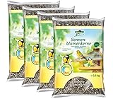 Dehner Natura Wildvogelfutter, Sonnenblumenkerne, 4 x 2.5 kg (10 kg)