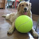 Riesentennisball Hund Kaut Spielzeug Outdoor oder im Zimmer zu Hause zum Spielen und Trainieren Das Beste Für Die Gesundheit Eines Hundes Durchmesser 24cm