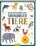 Mein kunterbuntes Soundbuch – Tiere: Mit über 50 Sounds | Hochwertiges Soundbuch mit realistischen Sounds für Kinder ab 24 Monaten