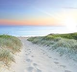 murimage Fototapete Meer Strand Dünen 274 x 254cm inklusive Kleister Weg Pfad Sonnenuntergang Ostsee Nordsee Tapete