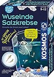 KOSMOS 654160 Fun Science -Wuselnde Salzkrebse,Erwecke die Urzeit zum Leben,Experimentier-Set für Kinder ab 8 Jahre,Komplett-Set für Einsteiger mit Eier,Futter,Becken,Pipette,Deko,weitere Utensilien