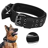 Upgrade Taktisches Hundehalsband Mit Kontrollgriff, Weich Gepolstertes Nylon Hundehalsband Verstellbare K9 Halsband für Mittlere Große Hunde - Reflektierend für das Training (M, Schwarz)