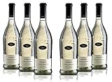 Canti Pinot Grigio Delle Venezie D.O.C. Weißwein 6 Flaschen Pinot Grigio trocken (6 x 0.75 l)