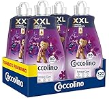 Coccolino Weichspülerkonzentrat Orchidee, Violett & Cranberry, 8 Liter, 320 Waschladungen, 4 x 80 Waschgänge