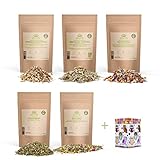 Best-of-Tea besondere Kräuter Tee Sorten - Geschenk Set - Probierset - Mit gratis Dose. Geschenkset Probier Paket Box Hochzeitstag Muttertag Valentinstag Geburtstag