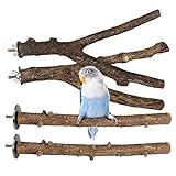 4 Stück Holz Natur Sitzstangen, Vogel Sitzstangen Holz, Natur Sitzstangen Set, Natur Vögel Sitzstangen, Papagei Spielzeug Sitzstangen, für Vögel Wie Wellensittich, Nymphensittich