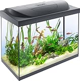 Tetra Starter Line LED 80 L Aquarium