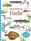 Usborne Minis Naturführer: Fische: mit 60 Stickern (Usborne-Minis-Reihe)