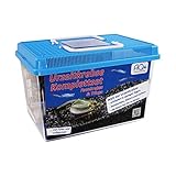 Premium Urzeitkrebse Komplettset Triops und Feenkrebse : 6 Liter Aquarium mit LED-Beleuchtung, Luftpumpe, Filter, Kescher, Heizung, Zubehör, Zuchtansatz mit vielen Eier, Futter und Anleitung