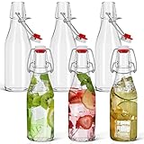 HEFTMAN Clip-Top Einmachflaschen – 6 Packung mit 250 ml transparenten Glasflaschen mit luftdichten Verschlüssen, Bügelverschlussflaschen für Bierbrauen, Wein, Gewürze, Getränke, Öl und Essig - 6 Stück