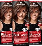 Brillance Glanz-Tönungsgel T880 Dunkelbraun Stufe 1 (3 x 60 ml), intensive Fashion-Haarfarbe mit glanzverstärkender Formel, Tönung verleiht dem Haar bis zu 50 % mehr Farbglanz