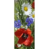 Textil-Banner Feldblumen Erntedank 100% Polyester Motivbanner