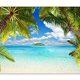 murando Fototapete Tropische Insel 350x256 cm Vlies Tapeten Wandtapete XXL Moderne Wanddeko Design Wand Dekoration Wohnzimmer Schlafzimmer Büro Flur Tropical Strand Meer Landschaft Palmen 10110903-21