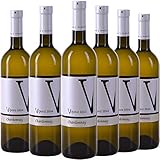 VIPAVA 1894 Weißwein CHARDONNAY 2020, von Hand gelesener trockener Weißwein ( 6 x 0.75 l )