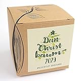 Geschenk-Anzuchtset'Dein Christbaum 2029'