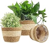 KAHEIGN 3Pcs Blumentöpfe Seegras Pflanzenkörbe, 3 Größen Gewebter Blumentop Set Blumentöpfe Aufbewahrungskorb, Seegras Pflanzenkörbe für Drinnen Draußen (Beige)