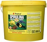 Tropical Super Spirulina Forte Flockenfutter mit 36% Spirulina (Platensis) Anteil, 1er Pack (1 x 5 l)