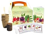 Magic of Nature Crazy Gemüse Box - Samen Anzuchtset - 5 Irre Gemüse Sorten zum Selberzüchten oder zum Verschenken