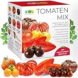 Tomaten Anzuchtset Indoor Garten, 6 seltene alte Sorten Samen Geschenkset Tomaten Anzucht - (Tigerella, Schwarze Kirschtomate, Gelbe Kirschtomate, Schwarze von der Krim, Ochsenherz, Andenhorn)