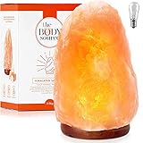 The Body Source Himalaya Salzlampe (3-5 kg) mit Dimmerschalterlicht aus der Salt Range Pakistan auf einem Holzständer - Nachtlicht inkl. 2x 15W Glühbirnen und Geschenkbox