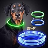 Leuchthalsband Hund BiPawTi Hundehalsband Leuchtend USB Aufladbar Wasserdicht Anione LED Leucht Halsband Längenverstellbarer Haustier Sicherheit Kragen für Hunde Extra helles Leuchtendes Hundehalsband