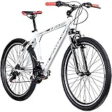 Galano Mountainbike Hardtail 26 Zoll Path MTB Fahrrad 21 Gang Mountain Bike 26' (weiß/schwarz, 46 cm)