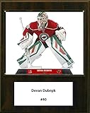 C & I Collectables NHL Minnesota Wild spartanisch eingerichtet Dubnyk Player Plaque, 30,5 x 38,1 cm