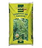 PLANTAFLOR Grünpflanzen- & Palmen-Erde, 10 Liter