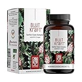 NATURTREU®️ Eisen Komplex mit Vitamin C und Kupfer Vegan - 120 Kapseln gegen Eisenmangel - Alternative zu Eisentabletten, leichter zu schlucken - ohne Zusatzstoffe, laborgeprüft