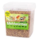 MEHLWÜRMER GETROCKNET, 800g (5L) getrocknete Mehlwürmer, Proteinreiche gesunde Würmer für Reptilien, Vögel, Wildvögel, Igel, Fische, Schildkröten und Nager – von Detox Organica