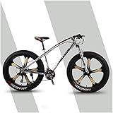 Aoyo Mountain Trail Fahrrad, Fat Tire, MTB, All-Terrain, 26-Zoll-24 Geschwindigkeiten, Fahrrad, High Carbon Stahl, Mountain Bikes, Vorderradaufhängung Doppelscheibenbremse, 5 Spoke, Farbe: Silber