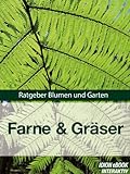 Farne & Gräser - Ratgeber Blumen und Garten