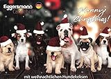 Eggersmann Carnebello - Adventskalender 2022 für Hunde · 24 weihnachtliche Hundekekse · getreidefrei und ohne Zuckerzusatz