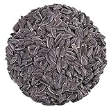 Boill / Sonnenblumenkerne schwarz - 25 kg. Vogelfutter, Wildvögel Garten Futter Neue Ernte 2022 ganzjahresfutter fettfutter 25000 g