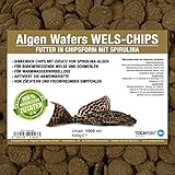 Teichpoint Algen-Wafers Wels-Chips (Hauptfutter für alle pflanzenfressenden Bodenfische und scheuen Zierfische in Waferform) - Welsfutter im 1 Liter Beutel