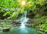 Edition Seidel Wald und Natur Premium Kalender 2023 DIN A3 Wandkalender Natur Bäume Wald Wasserfall Wiese Laub Waldsee