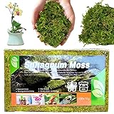 Generic Torfmoos für Pflanzen,150 g Topfpflanzen-Moos-Mix-Erde - Grünes Moos für fleischfressende Pflanzen, Feengärten, Terrarien, Blumenhandwerk, Reptilien