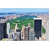 GREAT ART Fototapete – New York Skyline Central Park – Wandbild Dekoration Amerika Manhattan Panorama Landschaft USA Großstadt Bild Wallpaper Foto-Tapete Poster