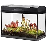 Swampworld Terrarium XL - 5 Fleischfressende Pflanzen im Glas Terrarium mit Beleuchtung - Inklusive Venusfliegenfalle, Sonnetau, Schlaufpflanzen, Moos, Erde, Feuchtigkeitsmesser und Buch - 39x21x31cm